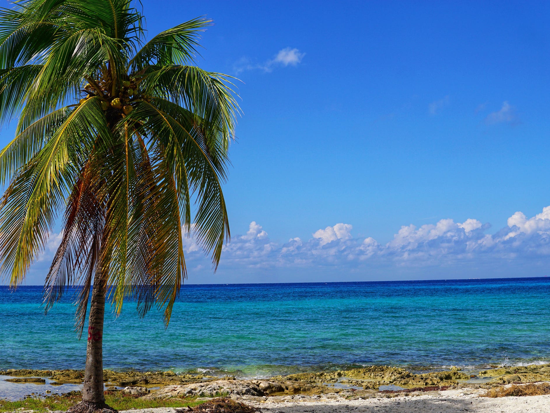 Cancun beach