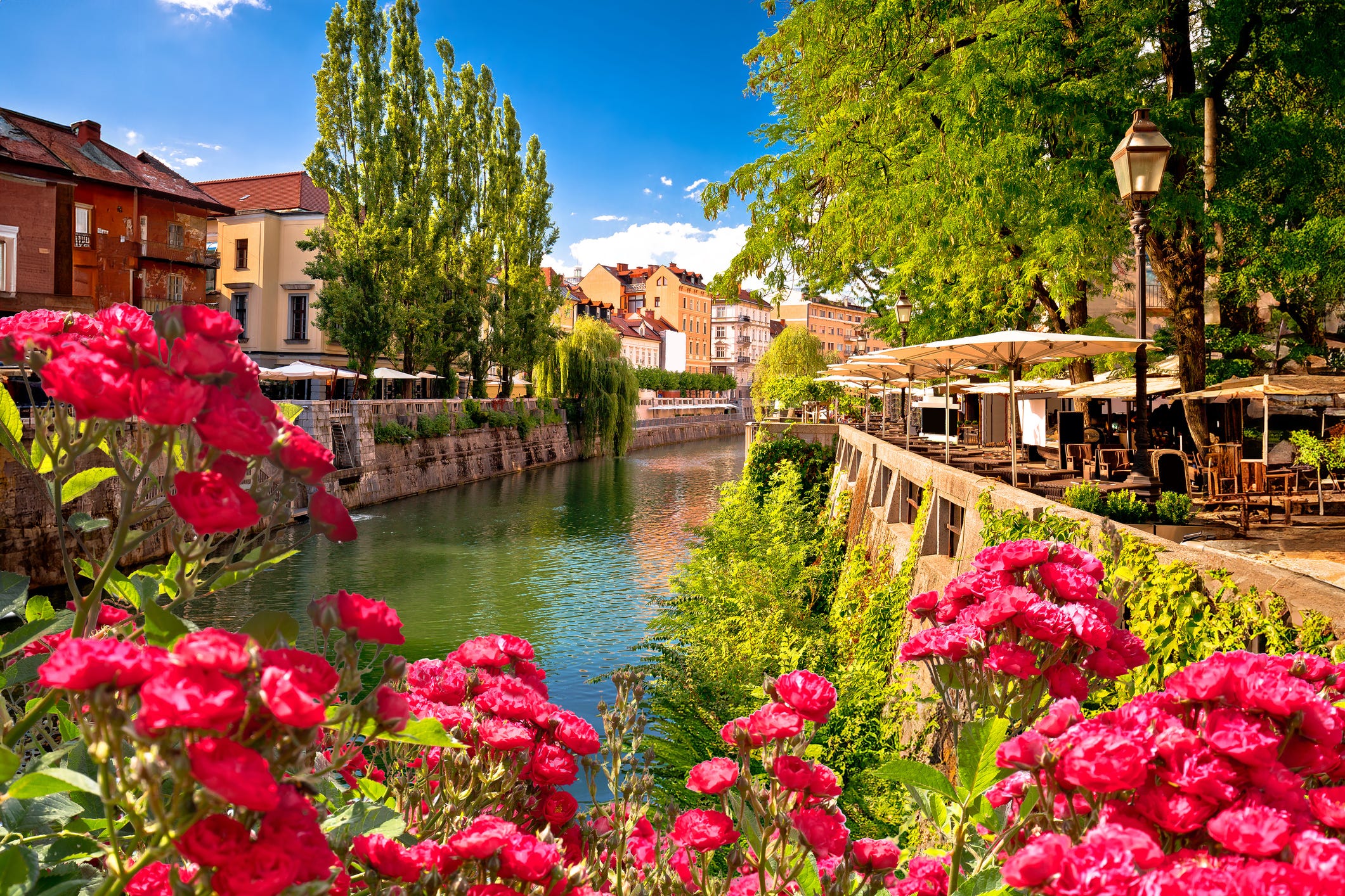 Stock photo shows Slovenia