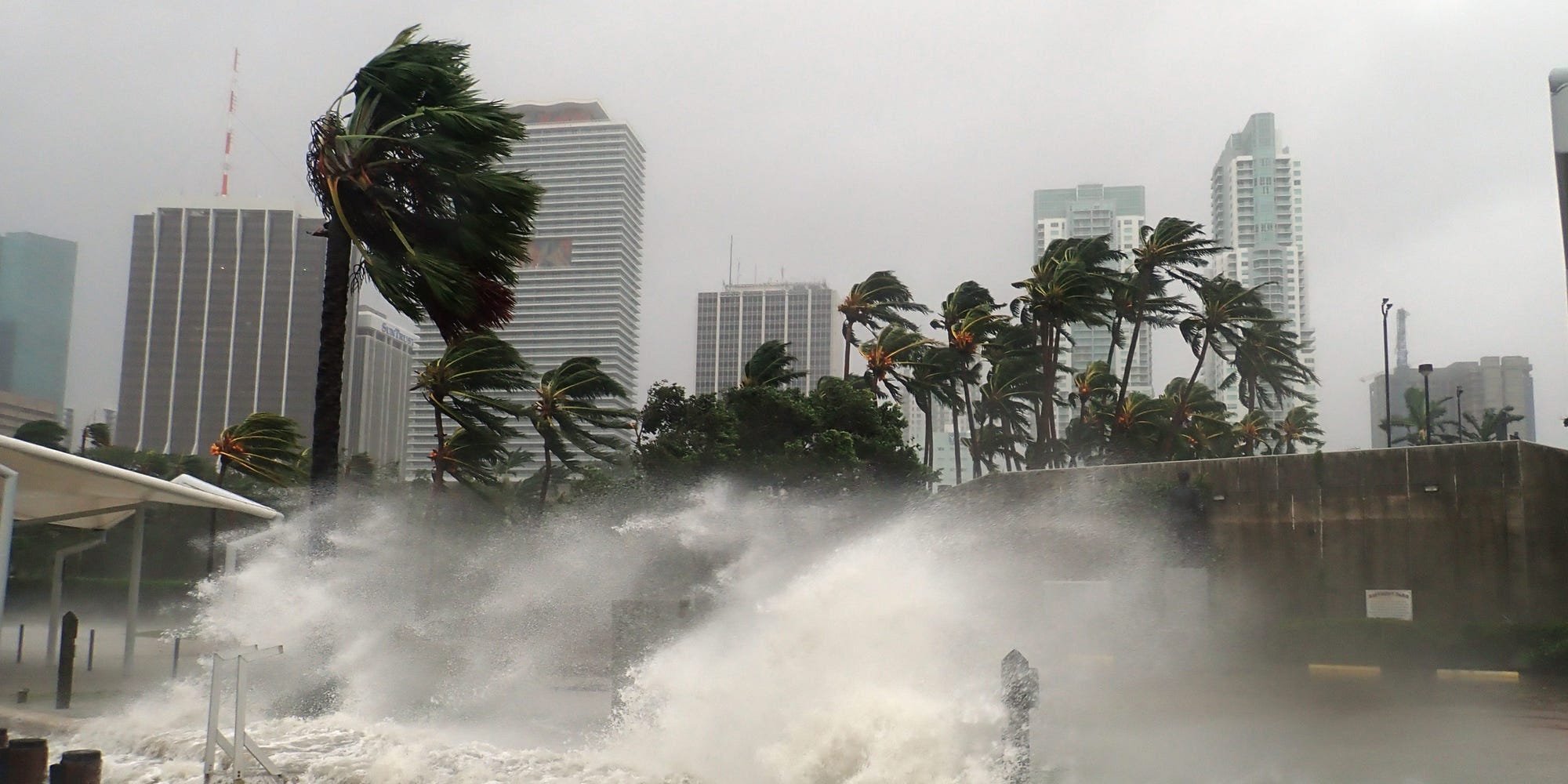 Photo of wave hitting Florida park